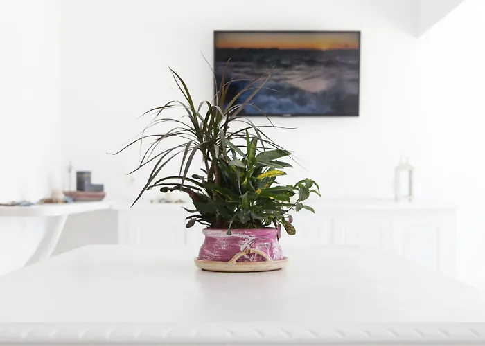 Hotell Anamar Blu (adults Only)