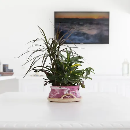 מלון Anamar Blu (adults Only)