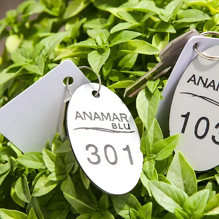 Anamar Blu (adults Only) 4*